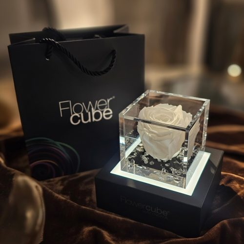 bfd7a9d1-f0f5-4cfb-8b2c-4405b9eaa8bf