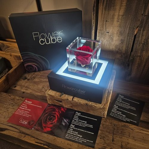 eb463870-3827-4b55-b588-ef5199733651